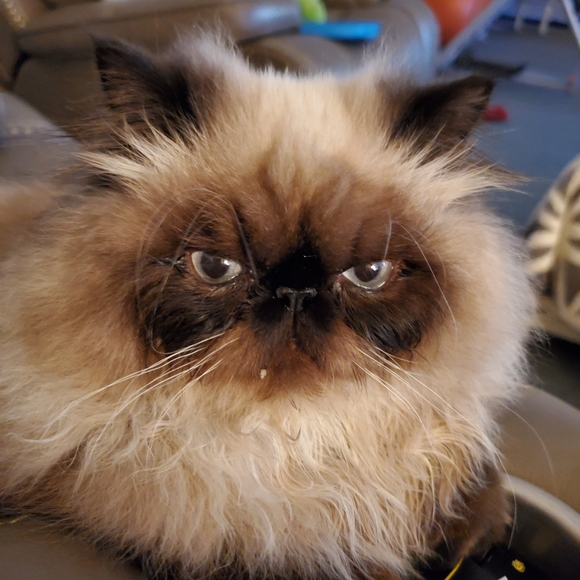 Ambrosius and Truffles - Picture 6 of 14